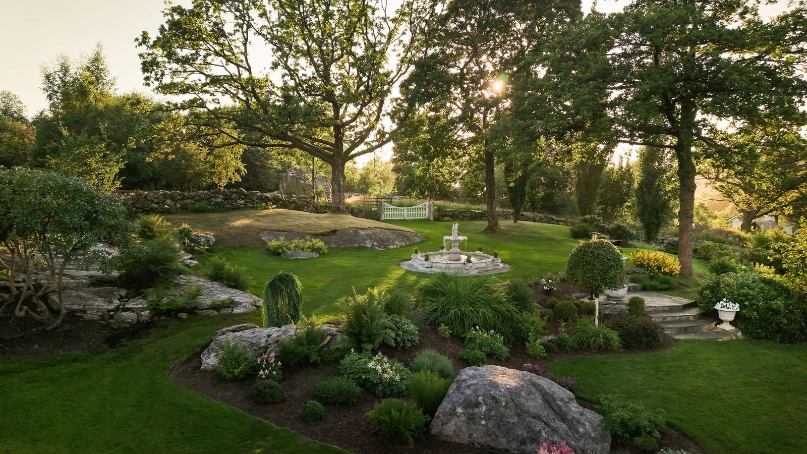 Aerial view of the garden